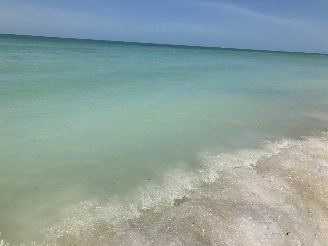 Ingredient Spotlight: Atlantic Ocean Water in Our Handmade Soaps - Sea Spray Soap