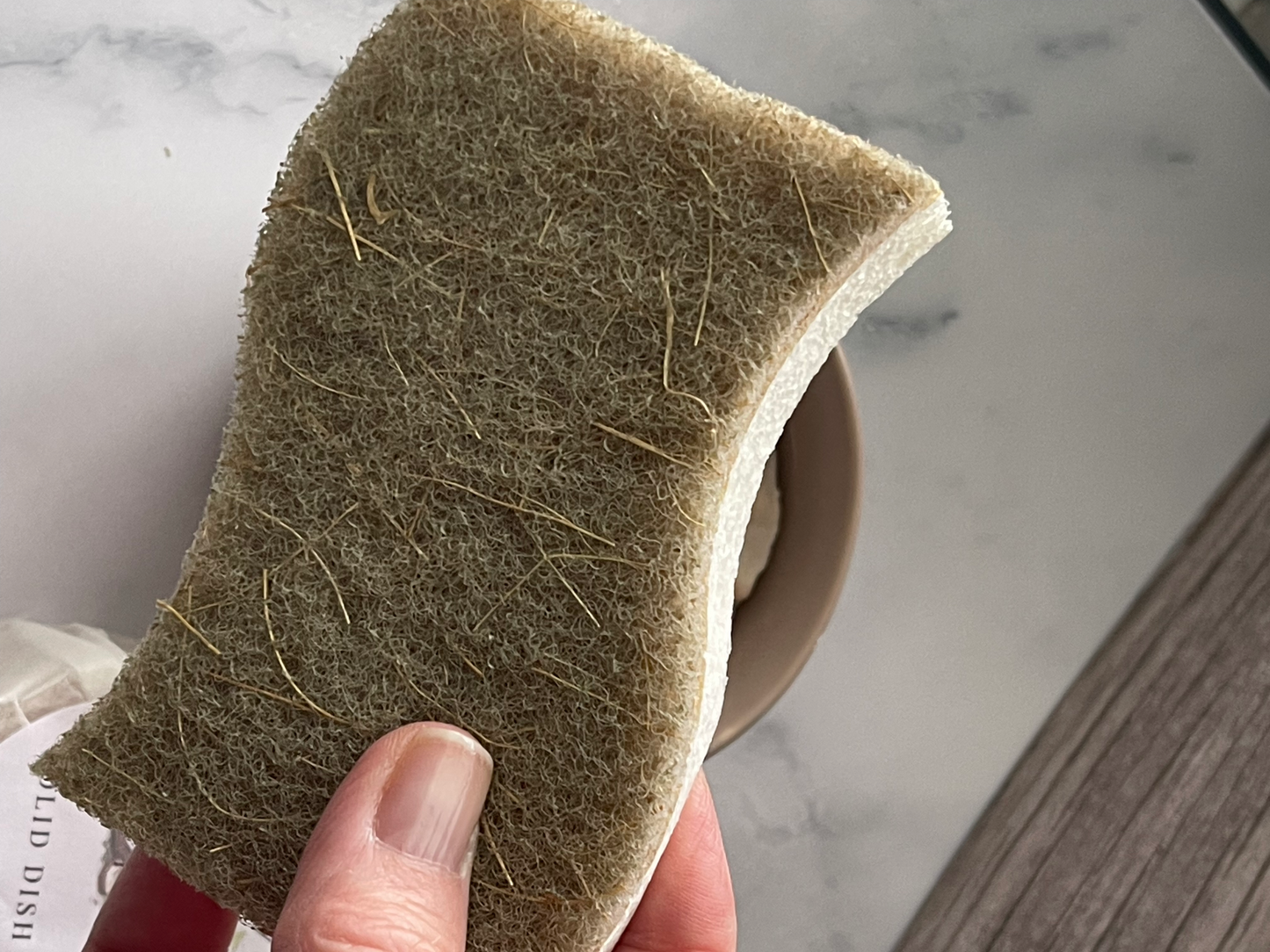 Compostable Sponge