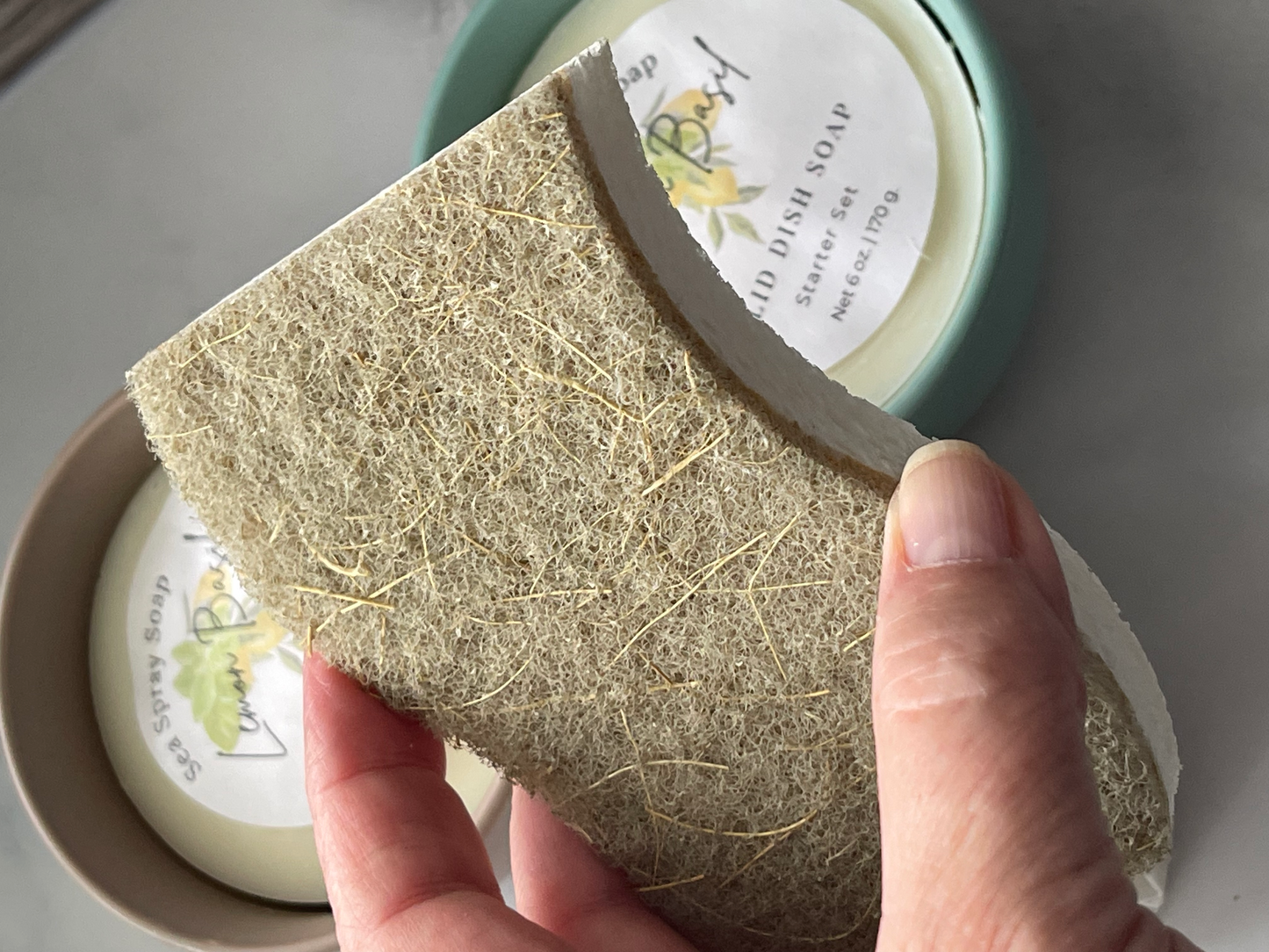 Compostable Sponge
