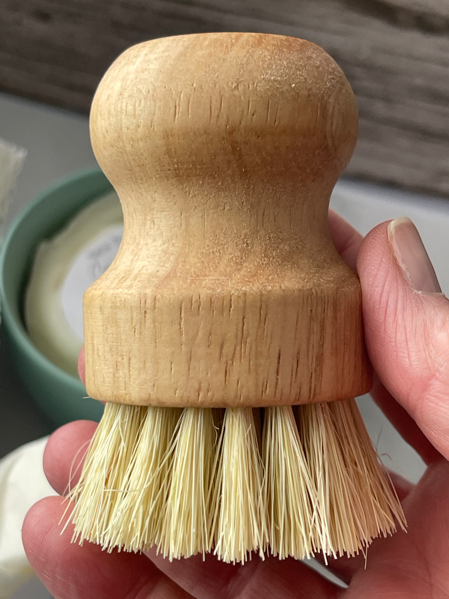 Bamboo Dish Brush
