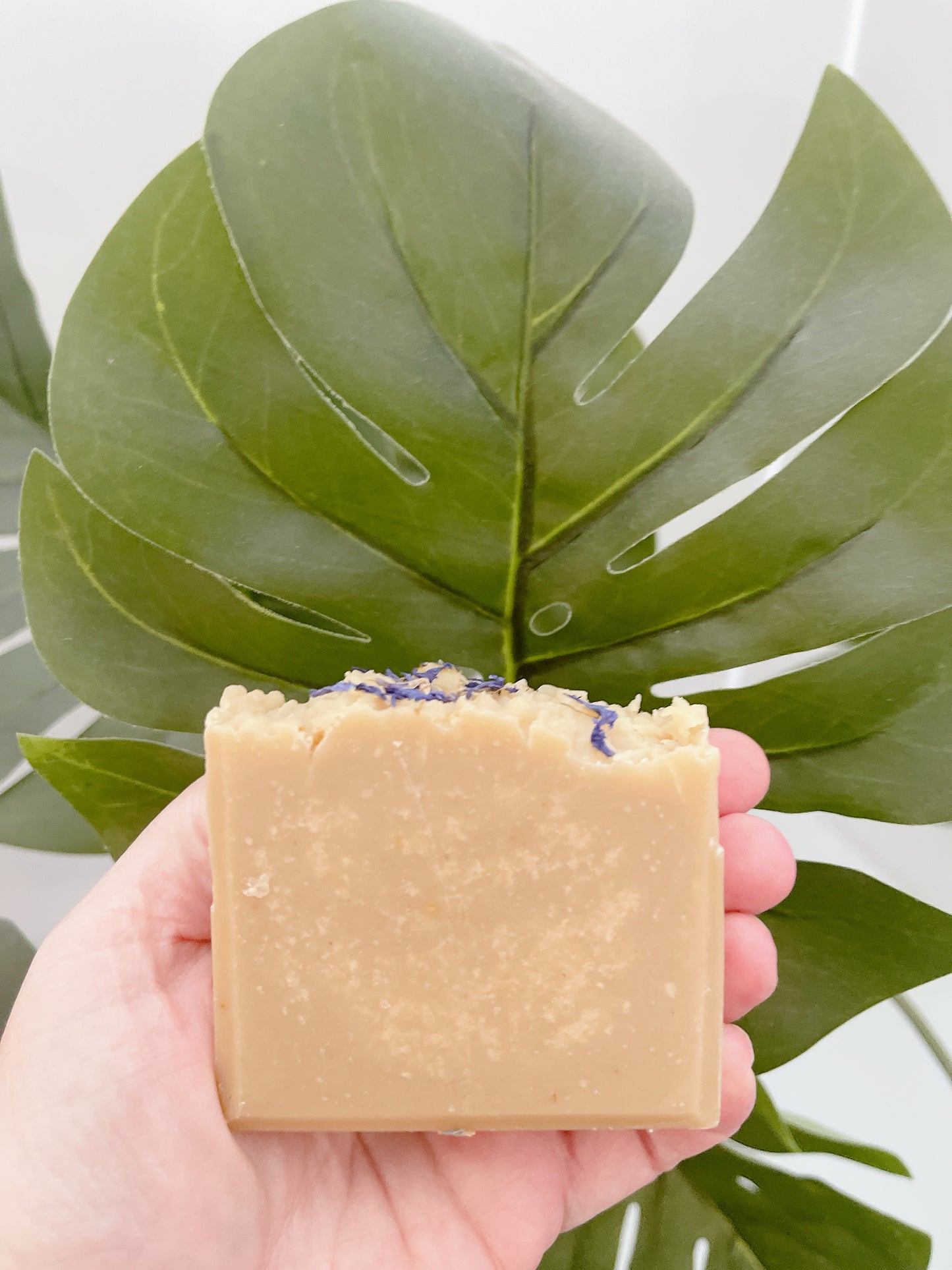 Hand holding a bar of soap with green leaves in the background