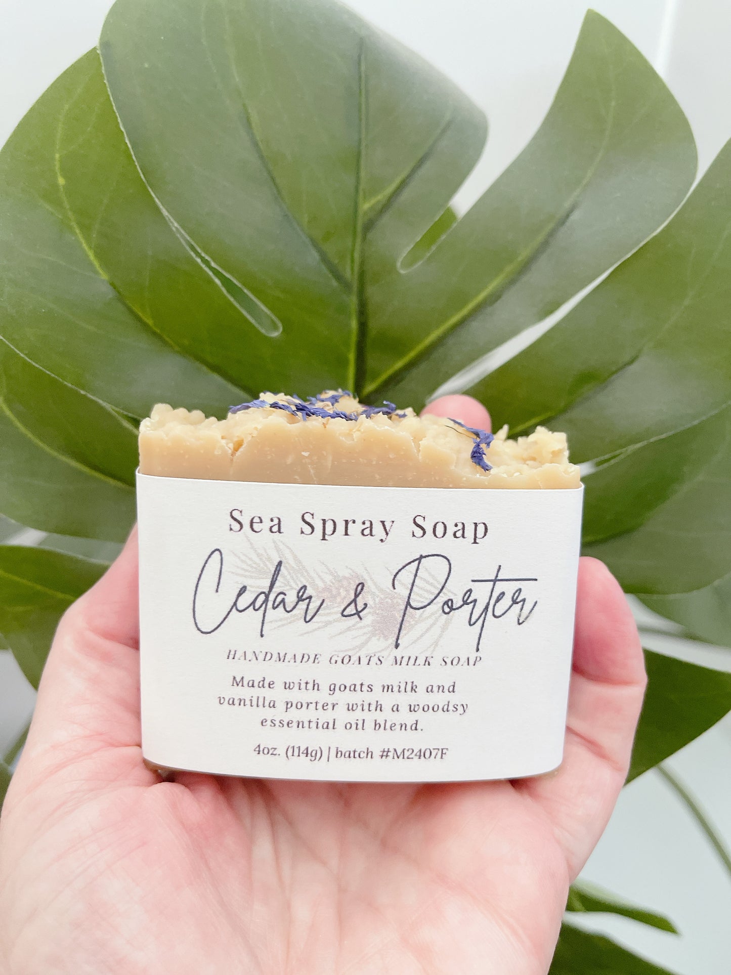 Hand holding a bar of Sea Spray Soap with 'Cedar & Porter' branding against a green leafy background.