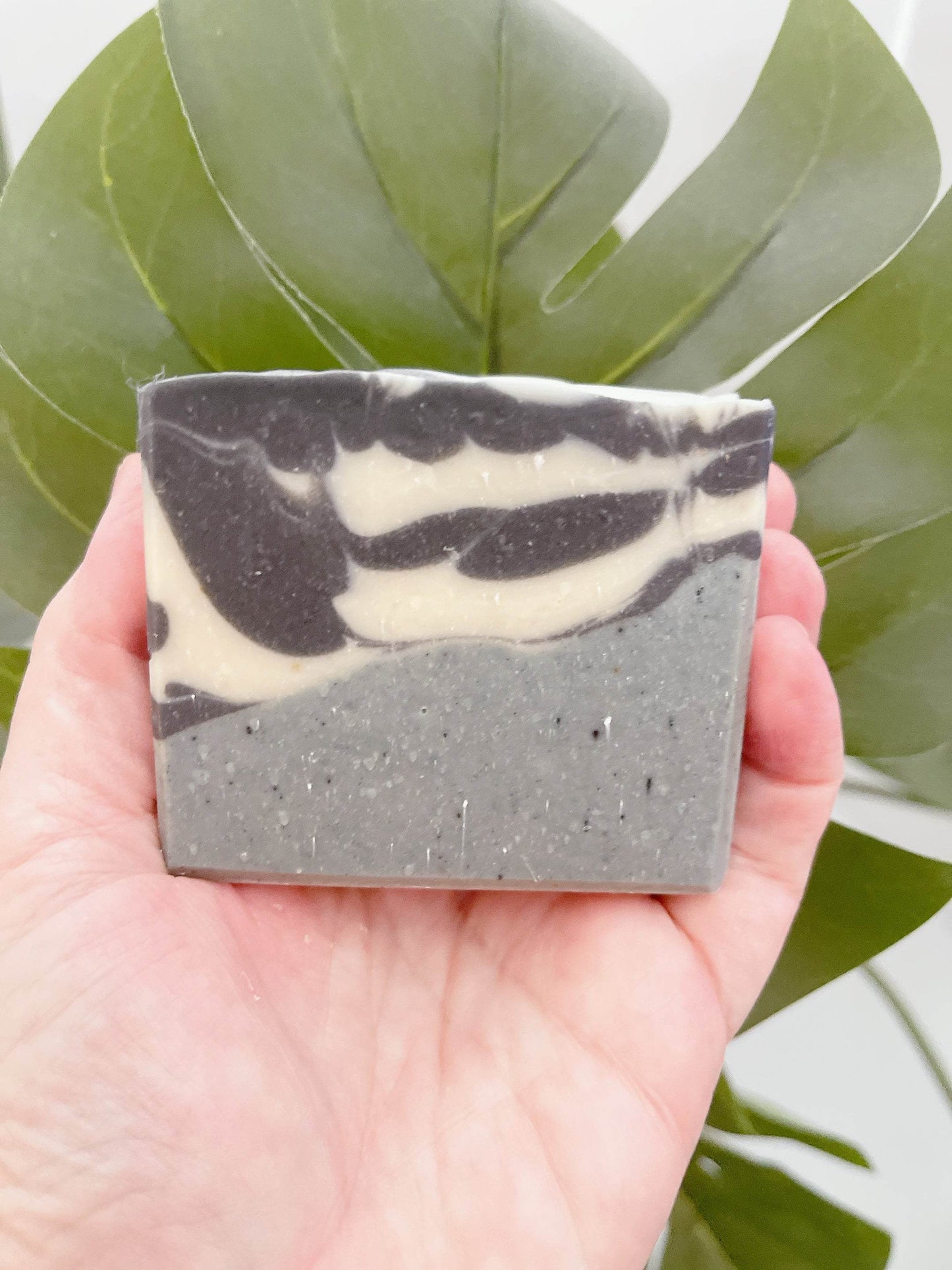 Charcoal Sea Purity Tallow & Coconut Milk Soap - Sea Spray Soap