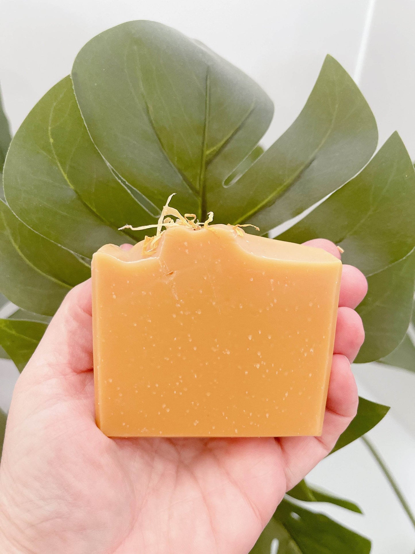 Citrus Coast Coconut Milk Handmade Soap - Sea Spray Soap