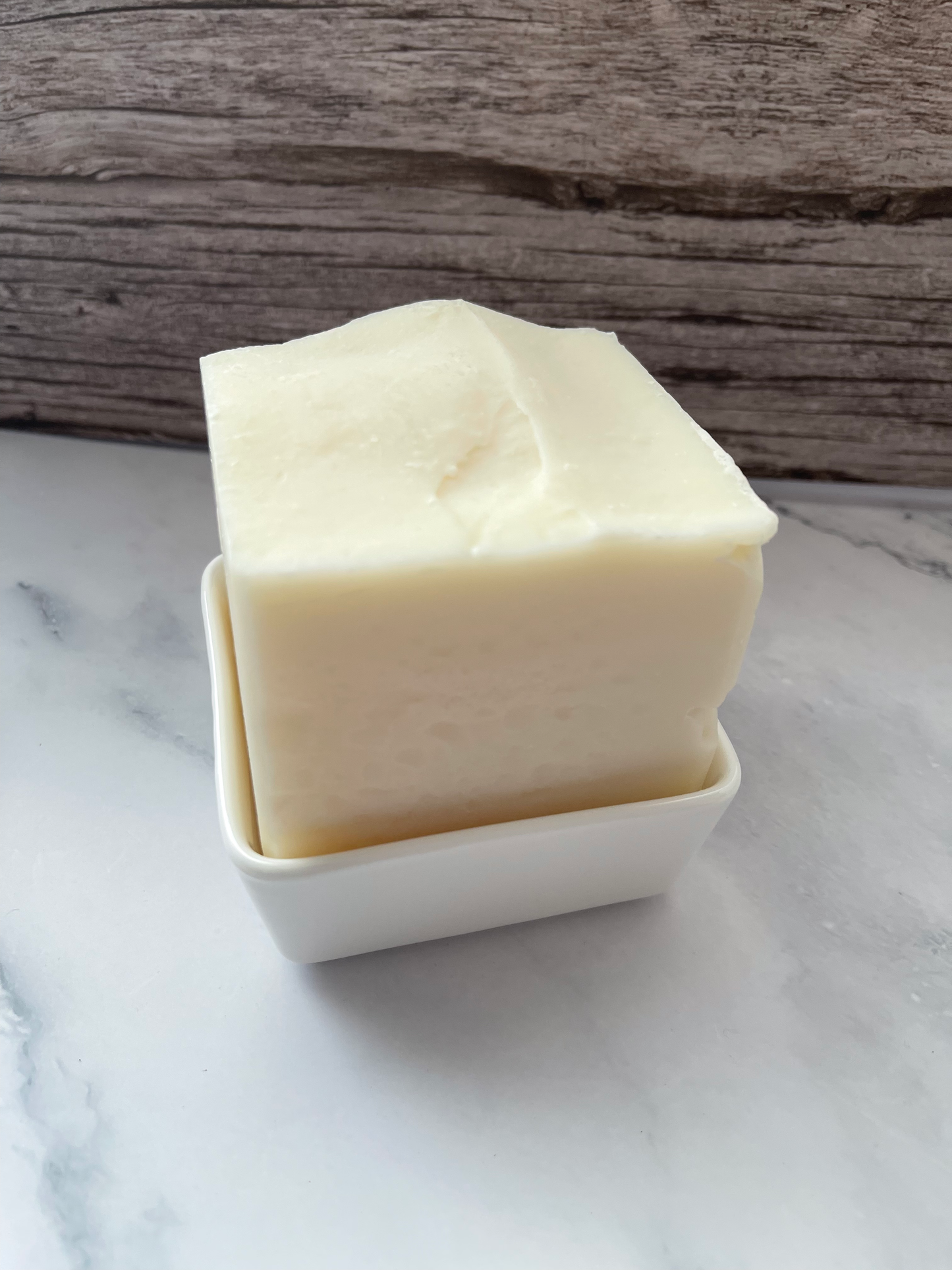 Ceramic Dish for Solid Dish Block