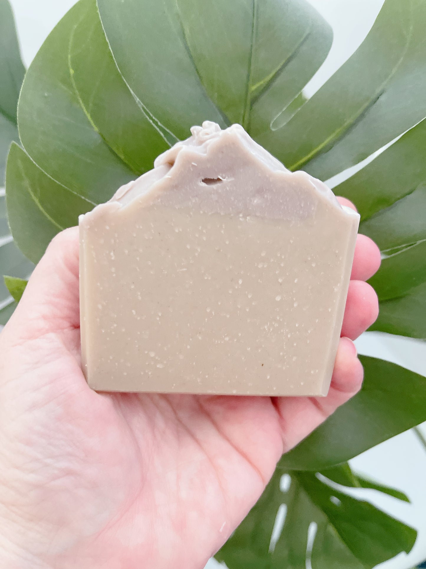 Bar of soap held in a hand with green leaves in the background