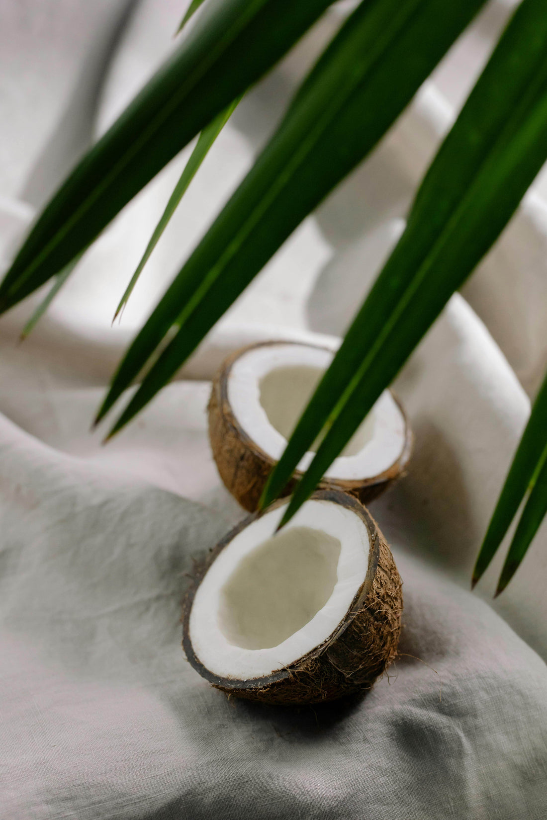 The Power of Coconut Oil in Soap and Cleaning Products - Sea Spray Soap