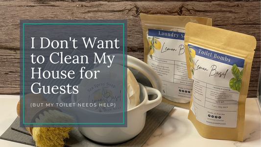 I Don't Want to Clean My House for Guests (But My Toilet Needs Help)