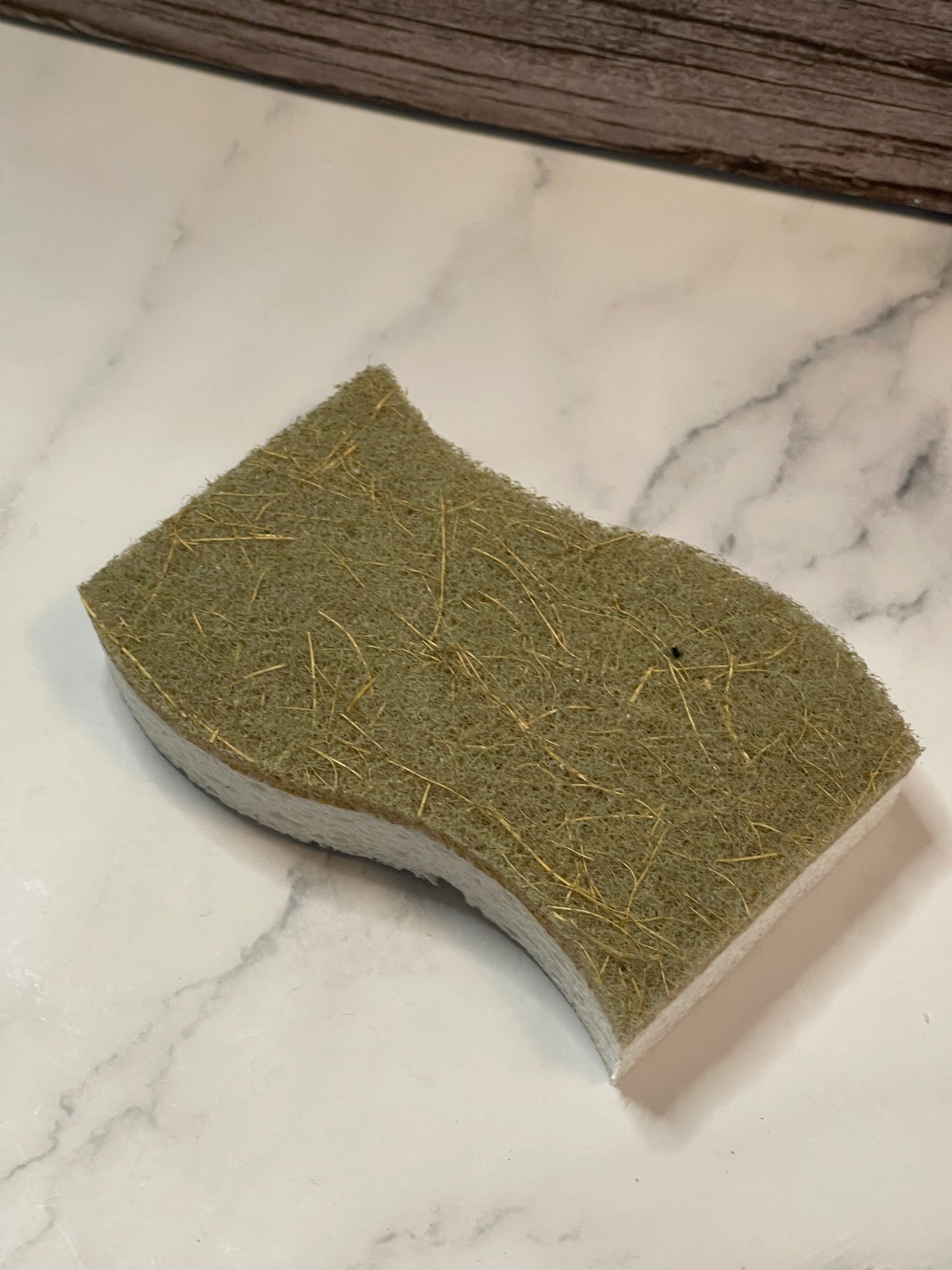 Compostable Sponge