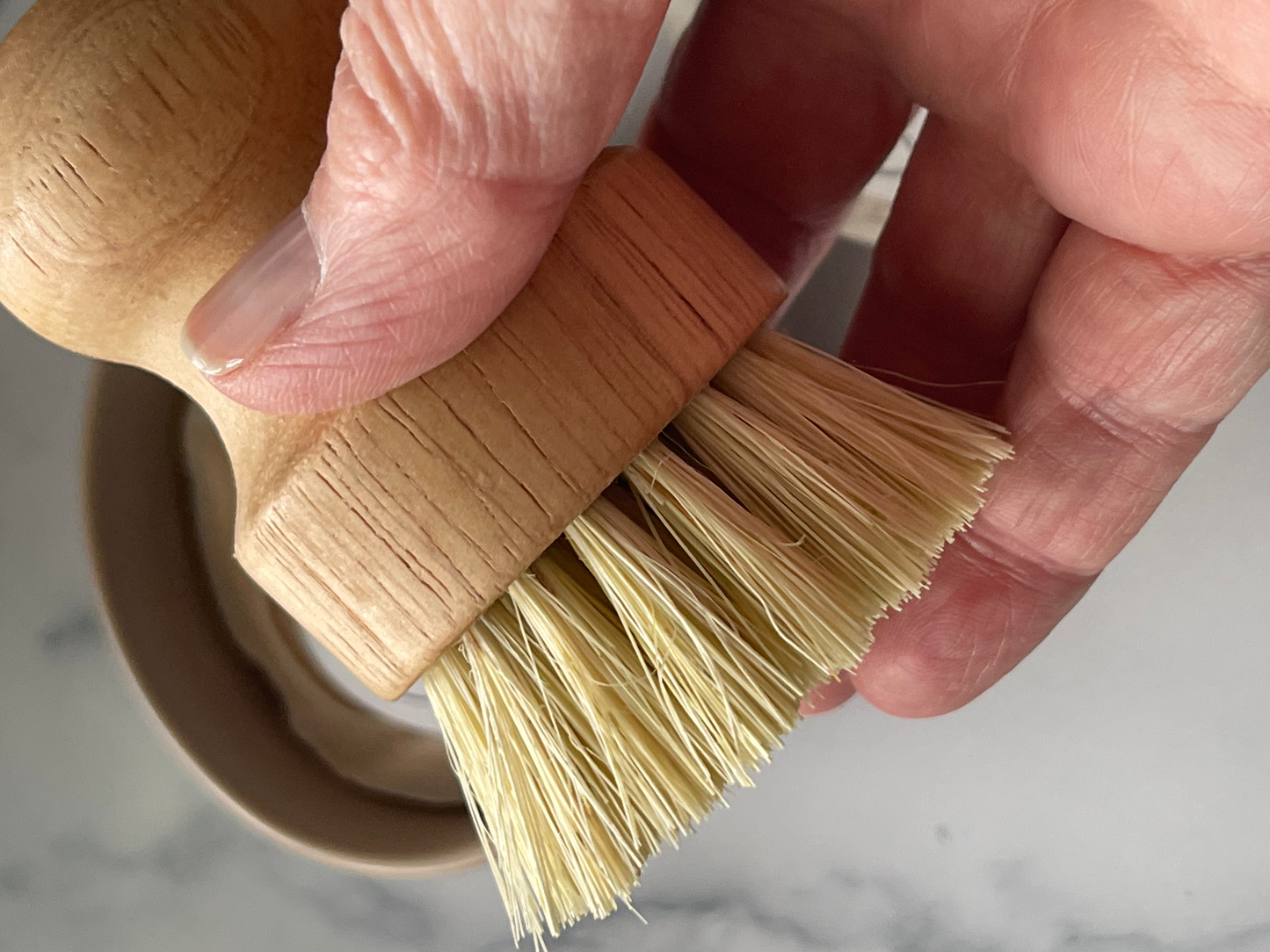 Bamboo Dish Brush