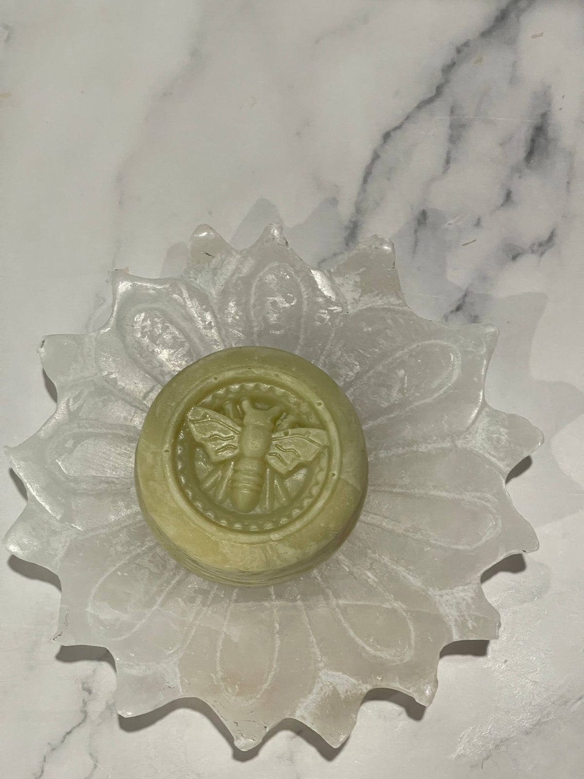 Coconut-Free Lemongrass Eucalyptus Soap Bar - Sea Spray Soap