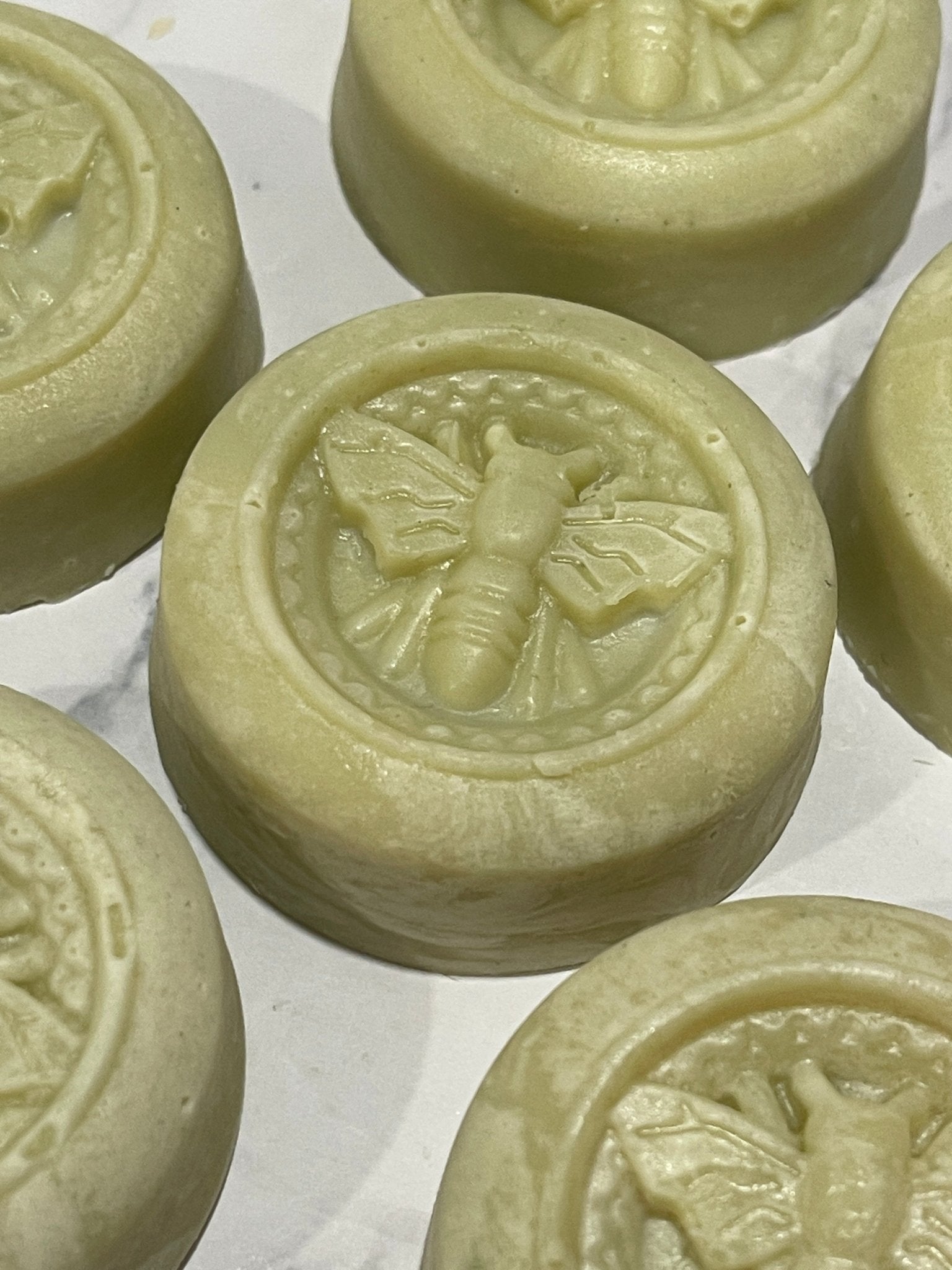 Coconut-Free Lemongrass Eucalyptus Soap Bar - Sea Spray Soap