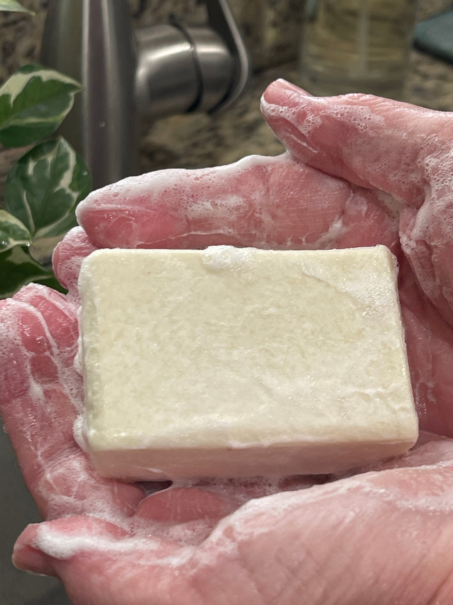 Coconut-Free Soap of the Month Club - Sea Spray Soap