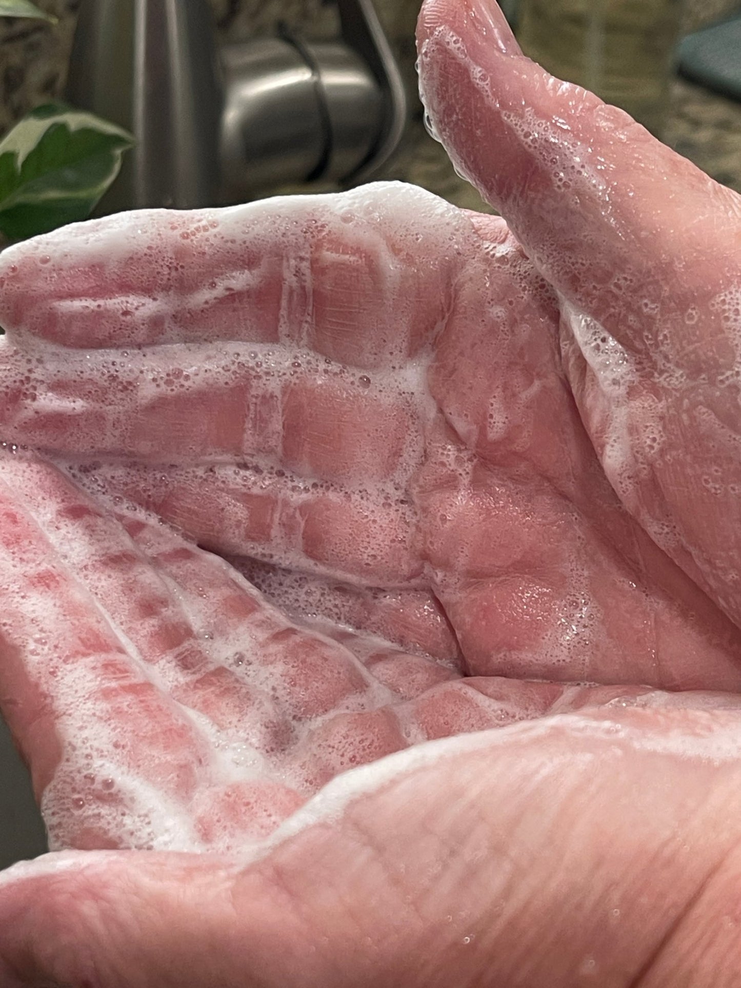 Coconut-Free Soap of the Month Club - Sea Spray Soap