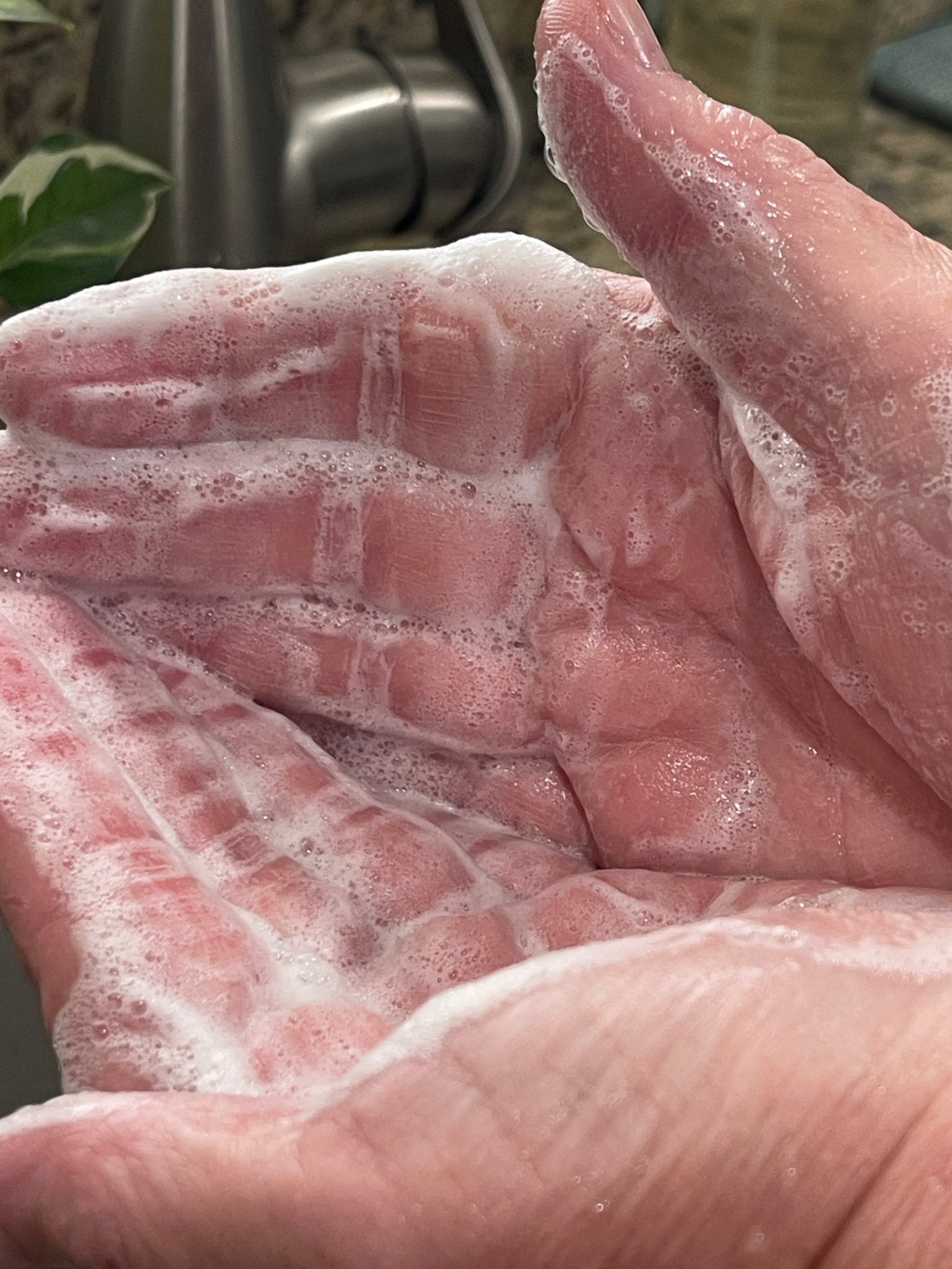 Coconut-Free Soap of the Month Club - Sea Spray Soap