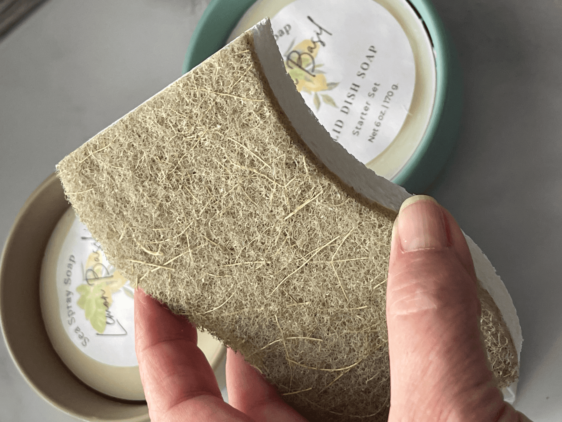 Compostable Sponge - Sea Spray Soap