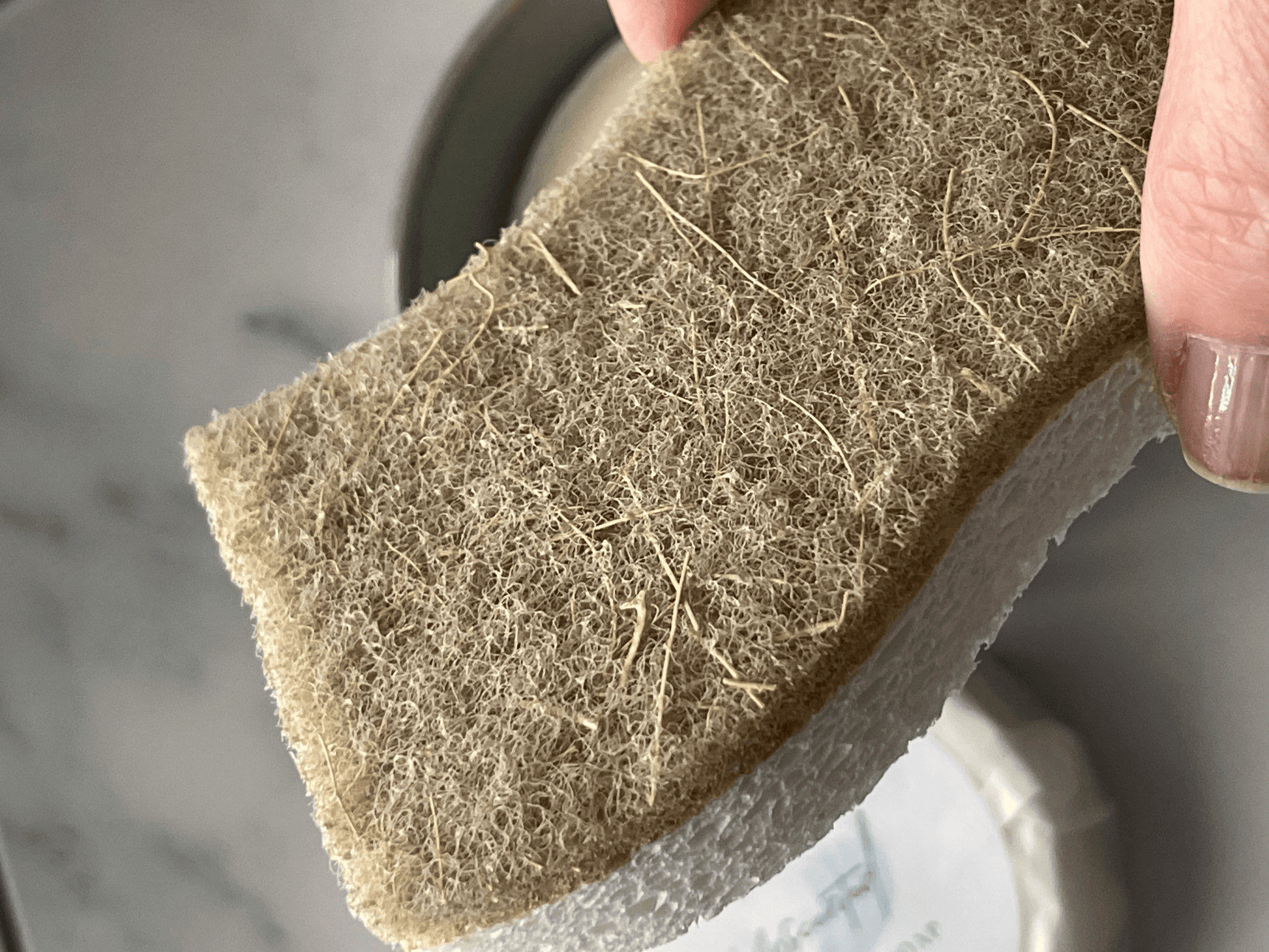 Compostable Sponge - Sea Spray Soap