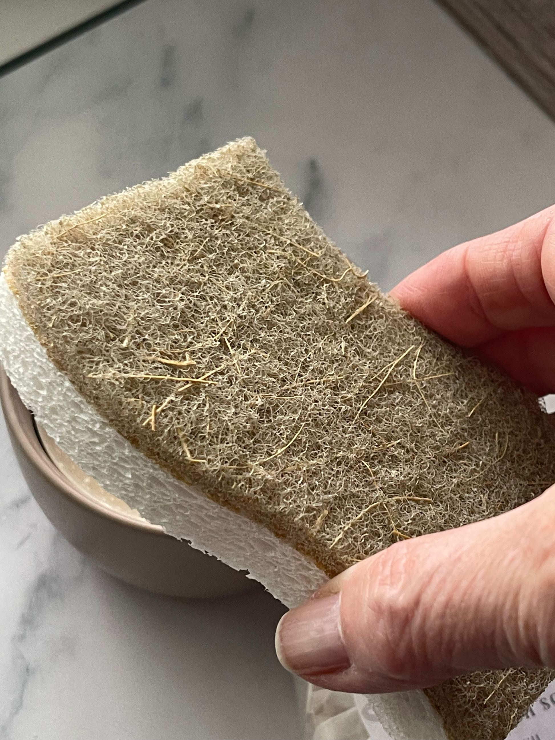 Compostable Sponge