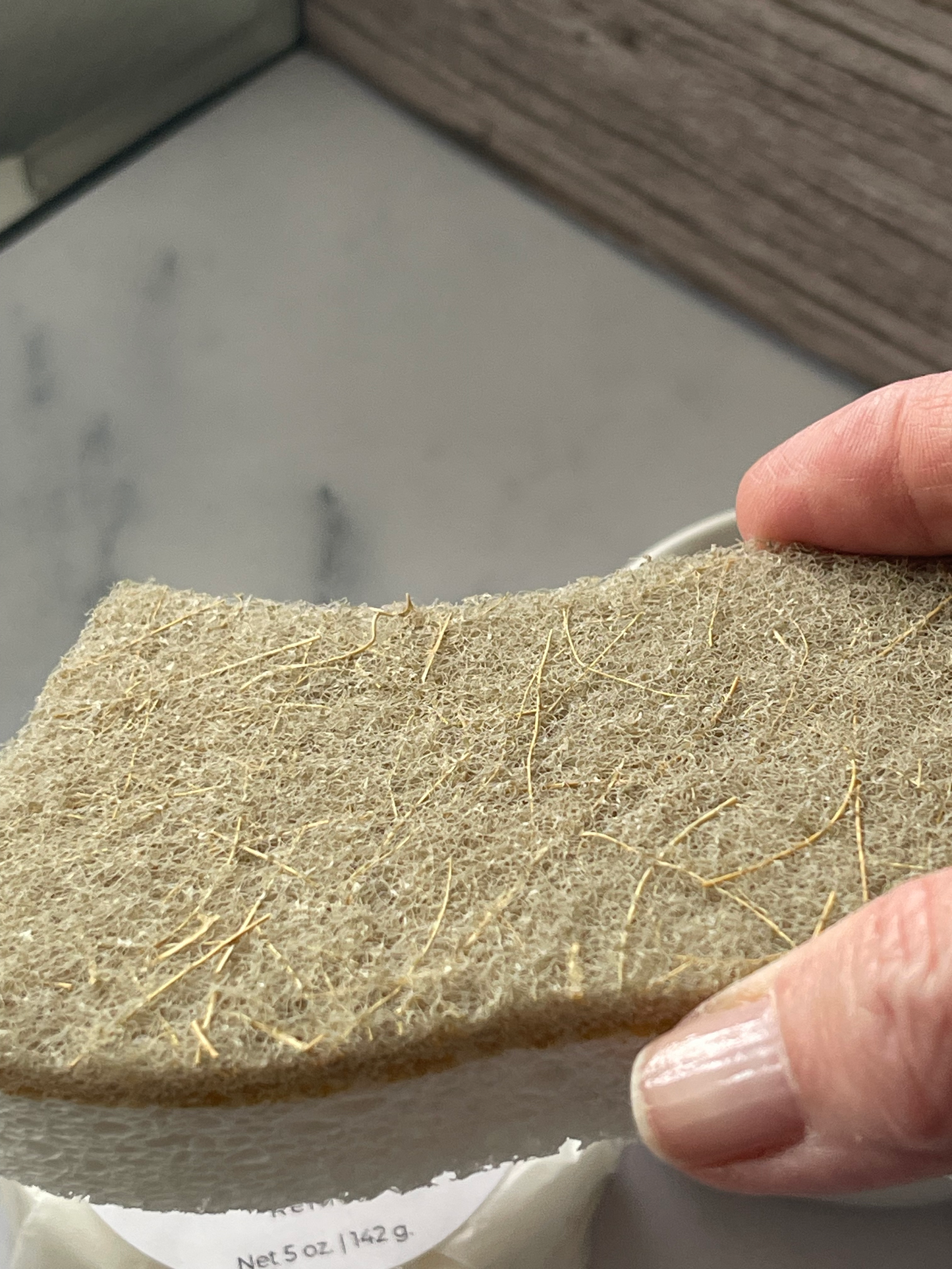 Compostable Sponge