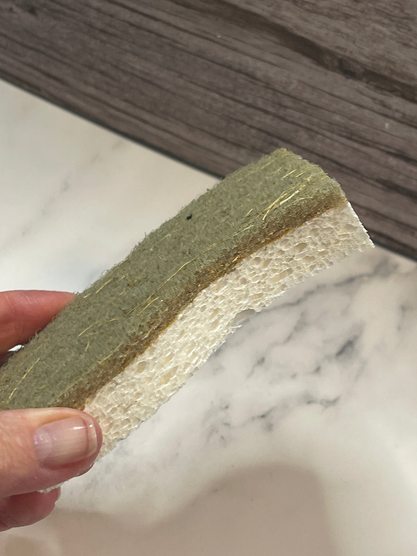 Compostable Sponge