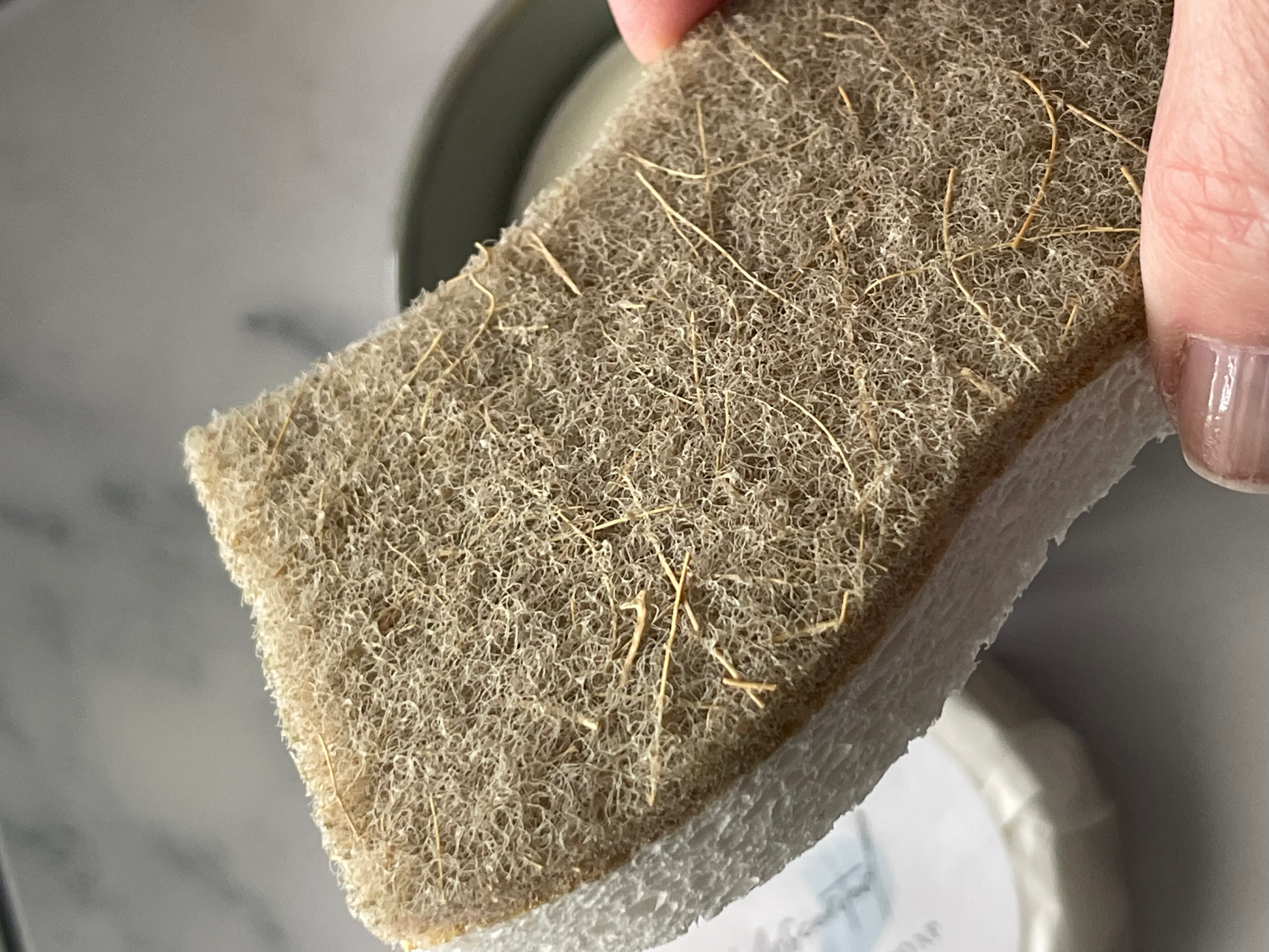 Scrubbing sponge held by a hand with a neutral background