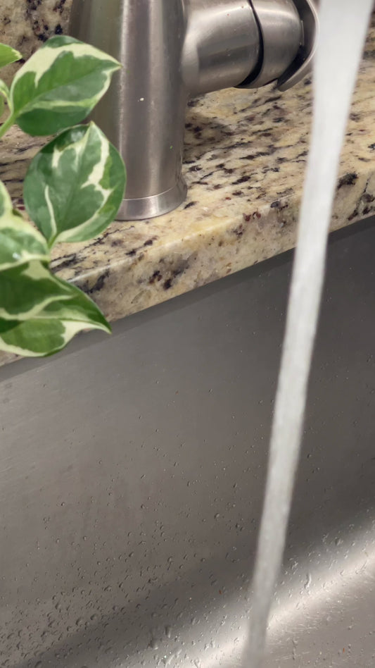 Coconut-Free Soap of the Month Club