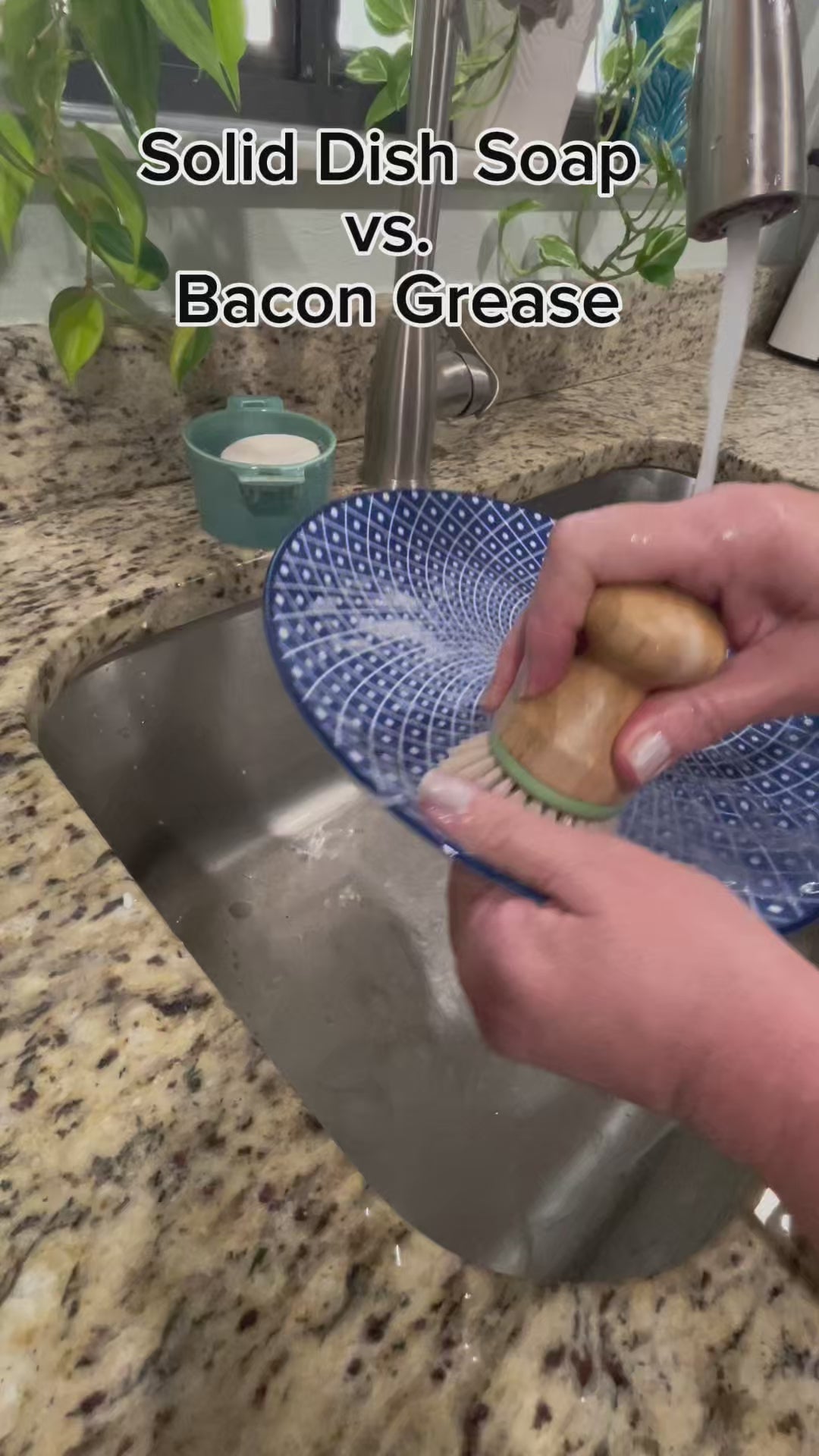 Solid Dish Soap vs Bacon Grease